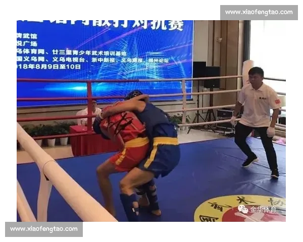 北京散打赛场精彩纷呈搏击精英同台竞技展现力量与智慧