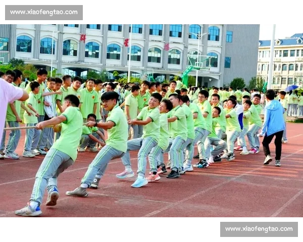 团结一心力量无穷 拔河比赛精彩瞬间展现团队风采
