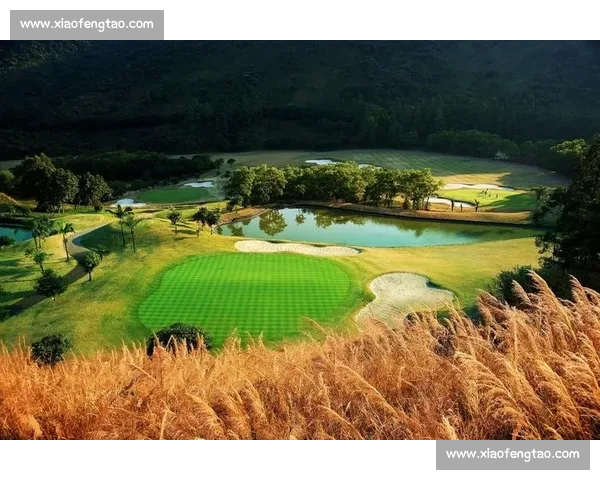 奥地利赛季回顾与未来展望：体育赛事的精彩与挑战