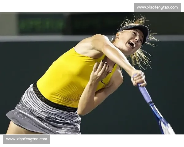 女排比赛中的漏缝现象分析及其对比赛结果的影响探讨