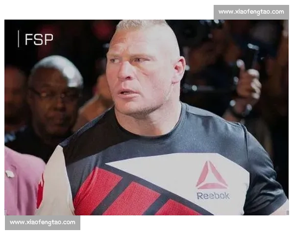 布洛克莱斯纳震撼UFC比赛精彩瞬间回顾与战斗精华解析