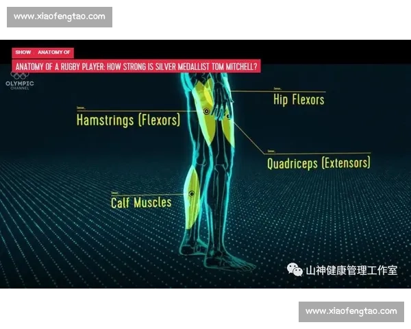 体育恢复时间对运动员表现提升的关键作用与科学管理方法
