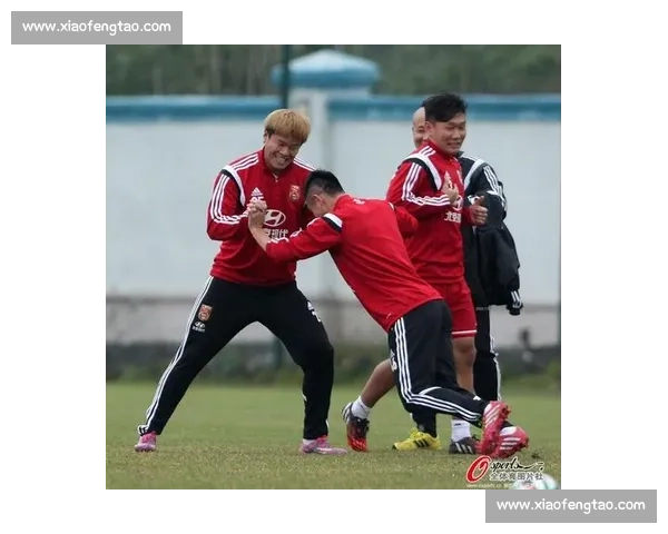 比特斗狗比赛：激烈对抗背后的历史渊源与现代发展探讨